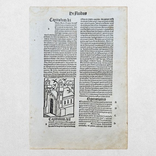 1497 hortus sanitatis - hortus,