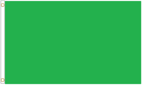 Green polyester flag - green,