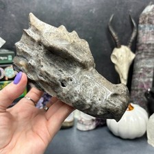 Huge druzy sphalerite crystal - huge,