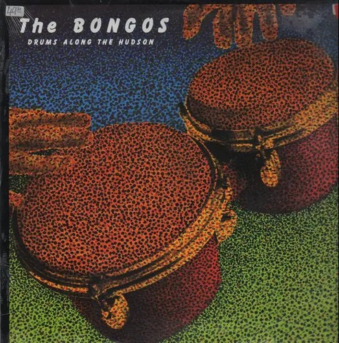 The bongos drums along - drums,