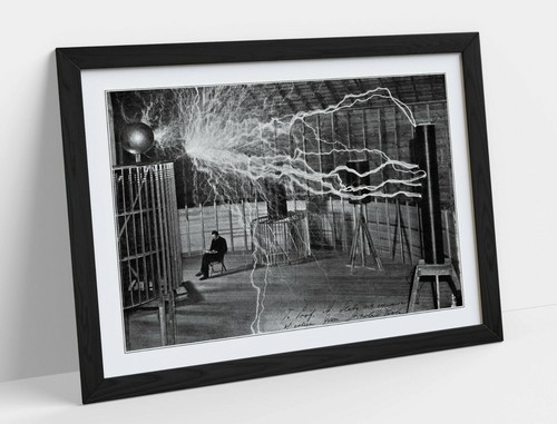 Nikola tesla faraday cage art - cage, -art
