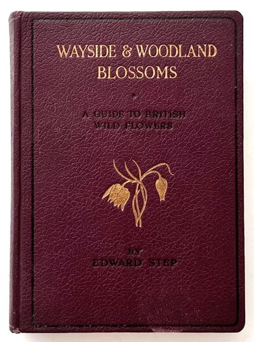 Wayside woodland blossoms - wayside, &