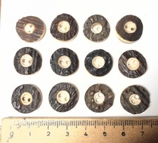 10 Antique Stag Antler Horn