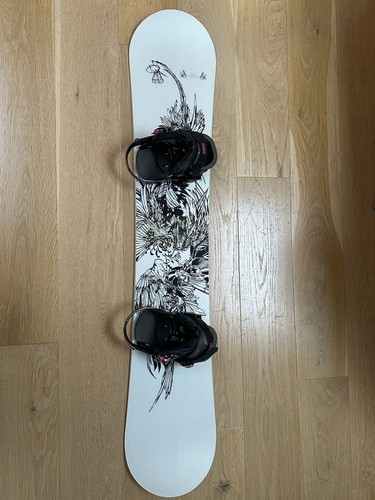 Vintage snowboard birds - birds, of