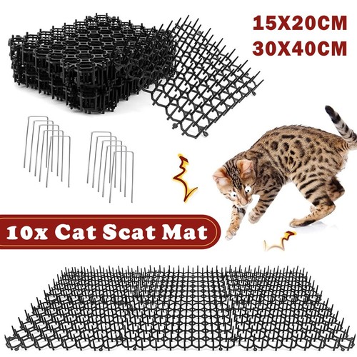 Cat scat mat - scat, spike