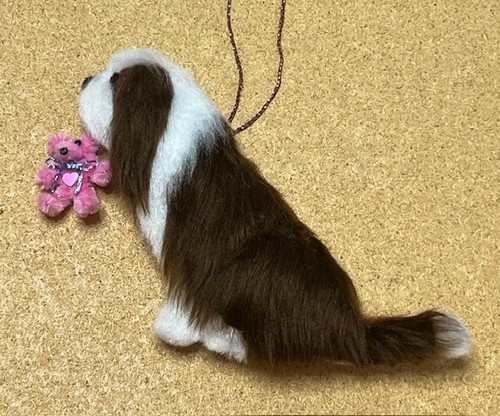 Dark brown bearded collie with - collie,