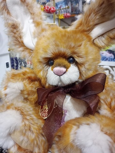 Charlie bears cotton sox - charlie,