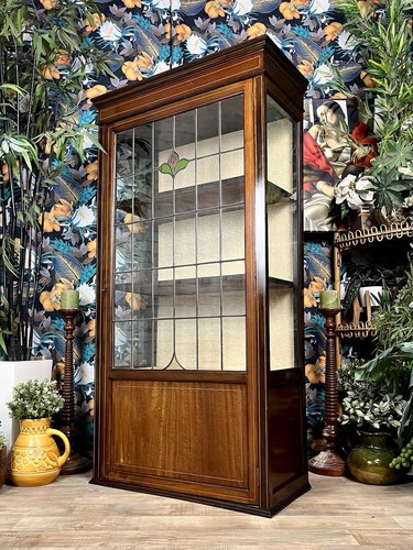 Antique mahogany glazed door - antique,