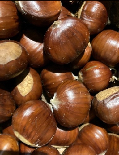 1kg sweet chestnuts - chestnuts, pick