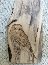 Owl Wall Art?burnt Wood Portrait Pyrography?Animal Bird Décor Driftwood Unique