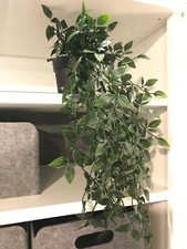 IKEA FEJKA Artificial Potted