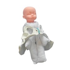 Female Pelvis Model Childbirth