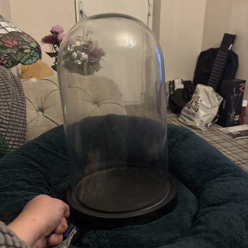 Vintage cloche glass dome - vintage, 13"