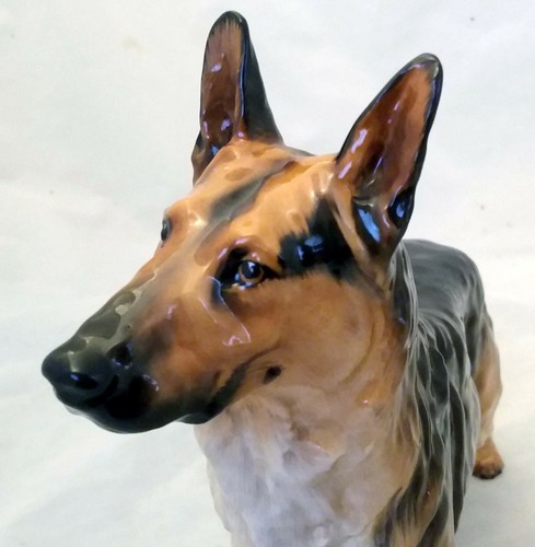 German shepherd alsatian - shepherd/,
