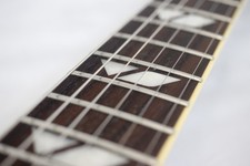 FERNANDES RAVELLE STEELER