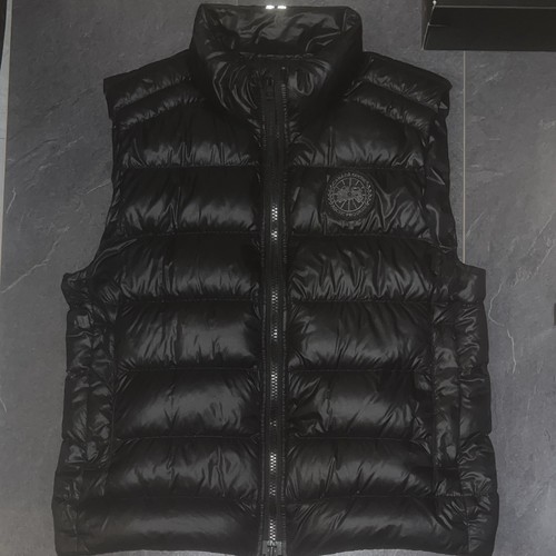 Canada goose arctic - canada, program