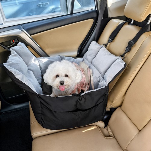 Safety dog car - car, cosy