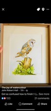 Barn Owl Painted In