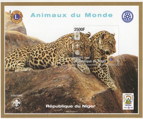 Leopard animals the world - leopard, of