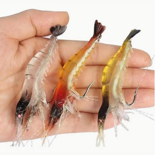 Prawn shrimp fishing - prawn,