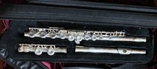 Stagg 77-FE With Hard Case