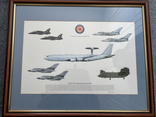 Raf role demonstration - role, 2008