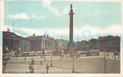 Liverpool wellington monument - liverpool,