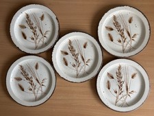 70s Vintage Wedgewood Midwinter Stonehenge Wild Oats Set x 5 Side plates 20 cm