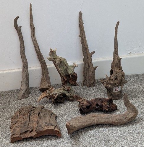Bogwood for fish - , or