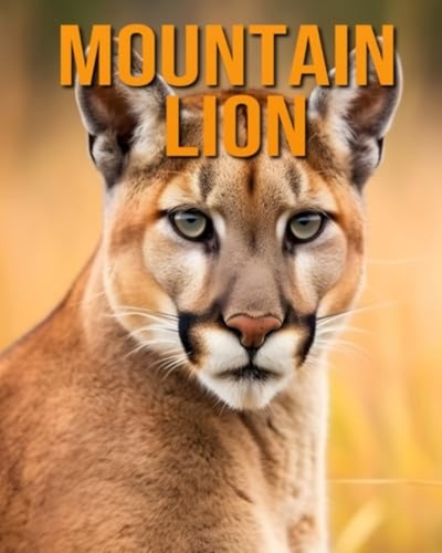 Mountain lion the - lion,
