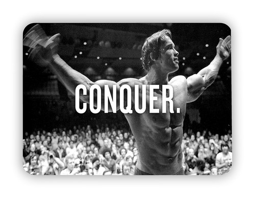 Arnold schwarzenegger conquer - arnold,