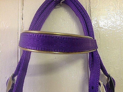 Gold browband bridle shetland - browband,