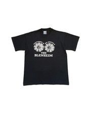 Vintage 90s Bristol Blenheim