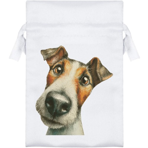 Funny fox terrier dog - 'funny,