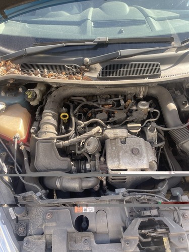 Ford fiesta mk7 - mk7, engine