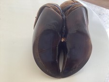 Antique Victorian Deer Hoof