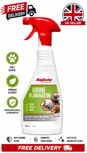 Rug doctor pet stain - rug,