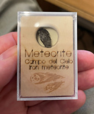 Nickel-Iron Meteorite - Campo