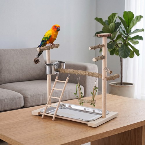 Wooden parrot play stand - wooden, perch