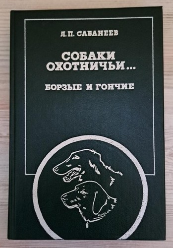 Borzoi russian wolfhound dog - wolfhound,