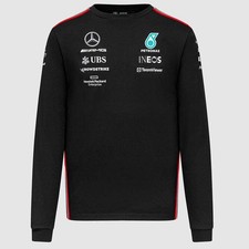 Mercedes AMG Petronas F1 Team