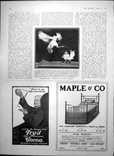 Old Print Indian Cock Fight