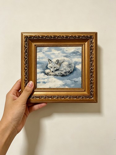 Curled arctic fox snow scene - arctic,