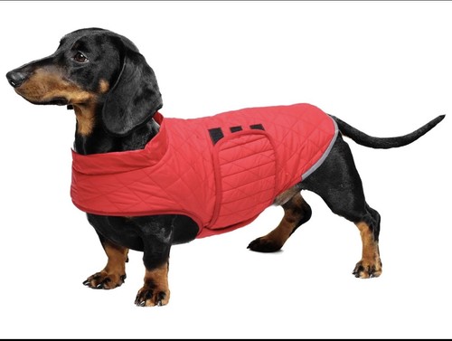 Quilting small dog winter - dog,