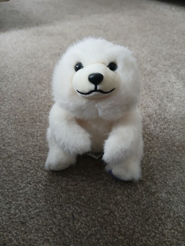 Cute polar bear - polar,