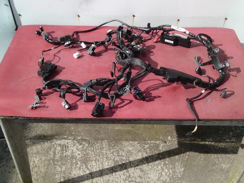 Honda vfr1200f wiring loom - honda,