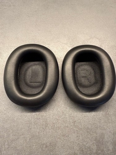 Bang olufsen beoplay - &, h100