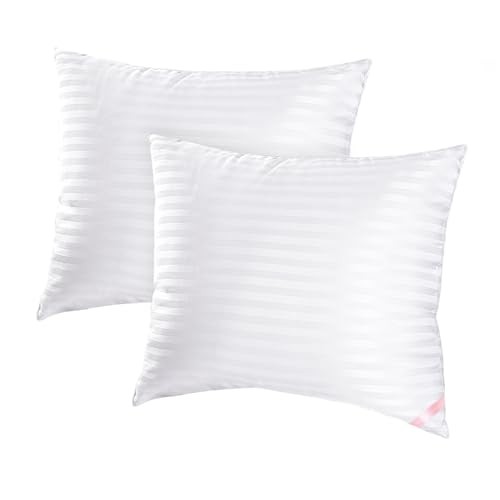 Throw pillow inserts - pillow, inserts,