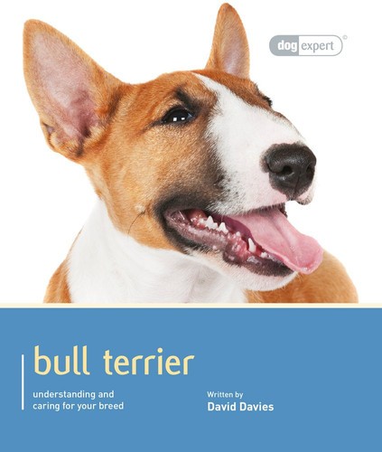 Bull terrier dog expert by - terrier,