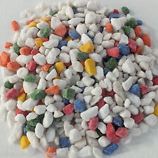 Coloured Aquarium Fish Tank